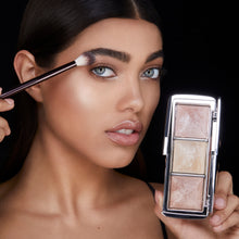 Load image into Gallery viewer, Ambient™ Metallic Strobe Lighting Palette