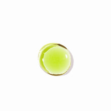 Load image into Gallery viewer, Algae + Moringa® Universal Face Oil
